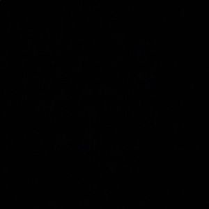 Meet your Posher, Christian